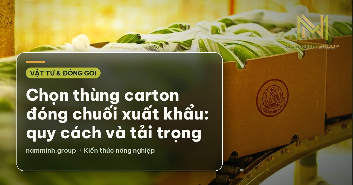 Chọn thùng carton đóng chuối xuất khẩu: quy cách và tải trọng