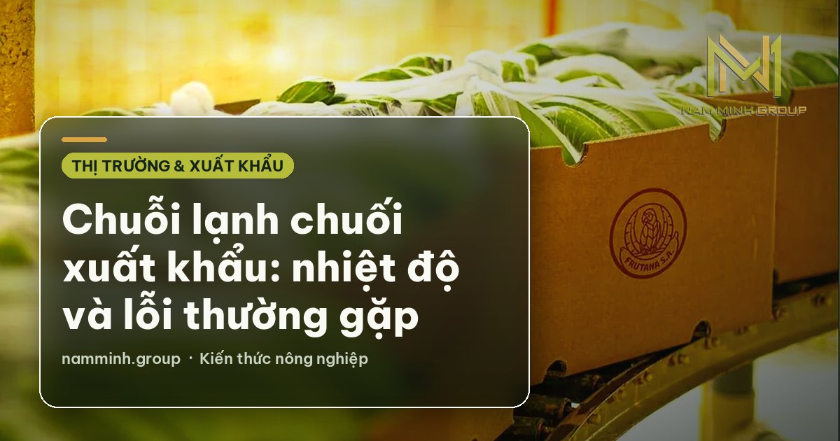 Chuỗi lạnh chuối xuất khẩu: nhiệt độ và lỗi thường gặp