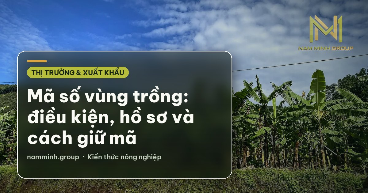 Mã số vùng trồng: điều kiện, hồ sơ và cách giữ mã