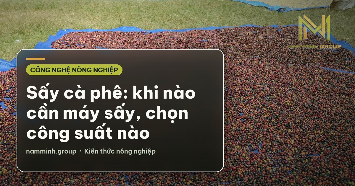 Sấy cà phê: khi nào cần máy sấy, chọn công suất nào