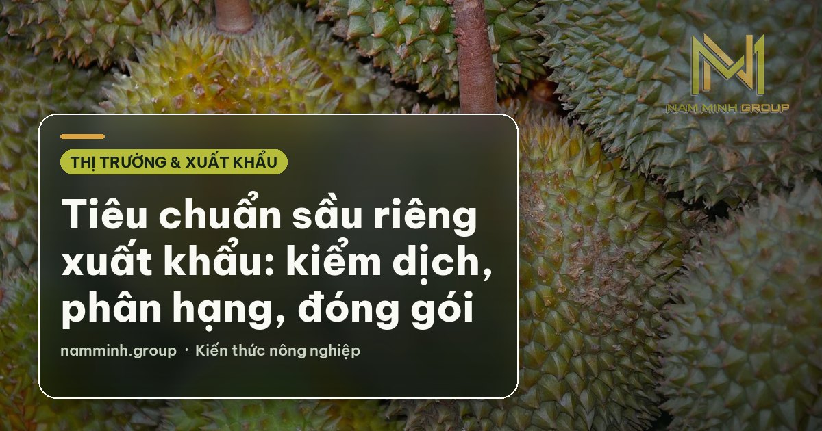 Tiêu chuẩn sầu riêng xuất khẩu: kiểm dịch, phân hạng, đóng gói